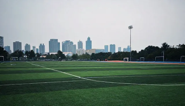 系统维护中数据备份缺失的原因与应对策略